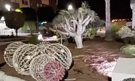 El Ayuntamiento  de Telde lamenta  los actos vandálicos cometidos contra el alumbrado navideño