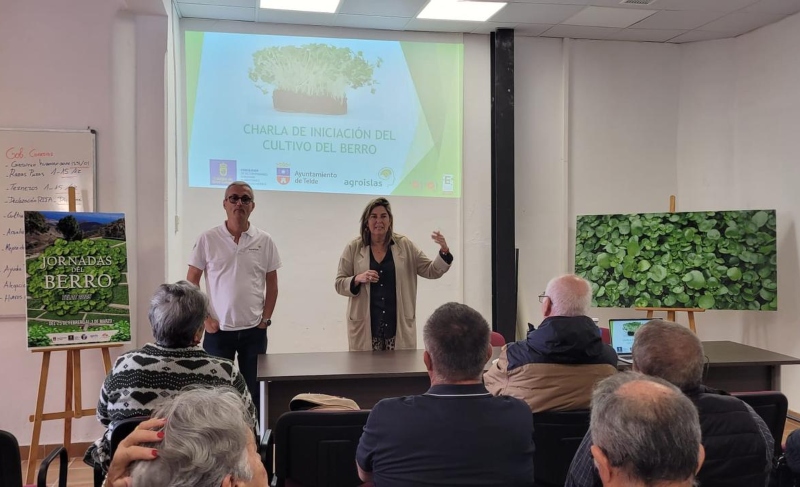 La plaza de San Gregorio celebrará  este sábado el día grande de las primeras Jornadas del Berro en Telde