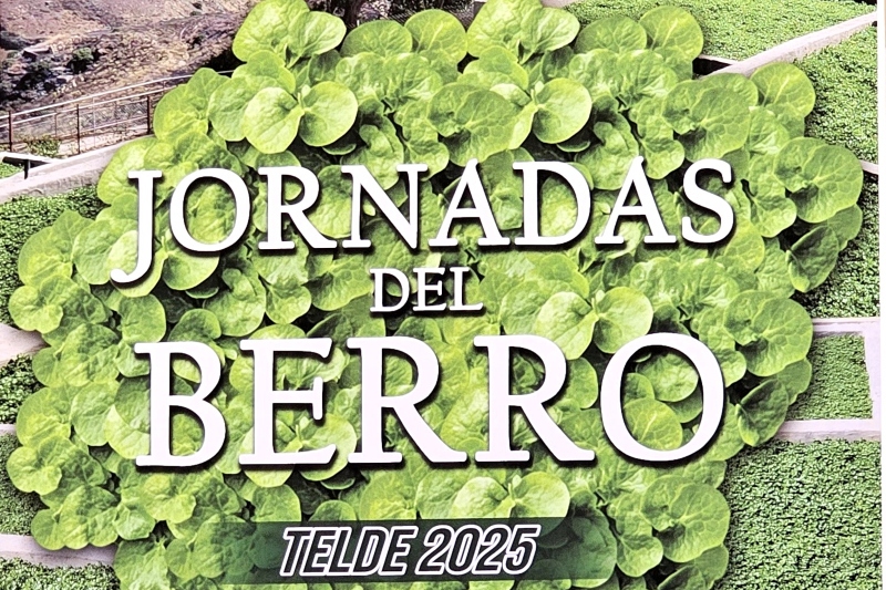 Telde celebra las primeras Jornadas del Berro 