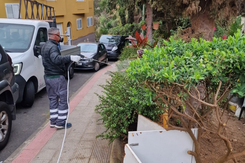 El Ayuntamiento de Las Palmas incrementa las actuaciones de desratización y desinsectación más de un 69% en el primer trimestre de 2025