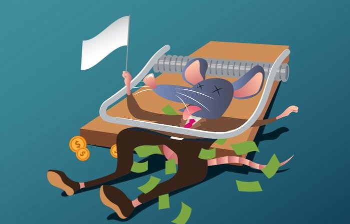 Una web de Telde financiada por Gestel obligada a retirar una información por plagio y vulneración de propiedad intelectual