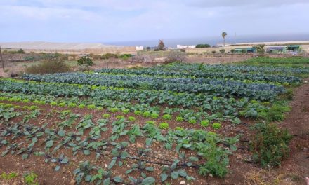 La Laguna programa seis talleres prácticos dedicados a la agricultura regenerativa