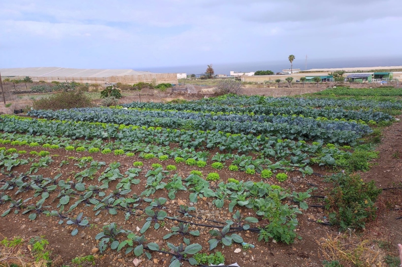 La Laguna programa seis talleres prácticos dedicados a la agricultura regenerativa