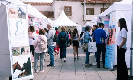 Más de 50 asociaciones de La laguna  participan el próximo sábado en la VIII Feria del Voluntariado en la plaza de la Catedral