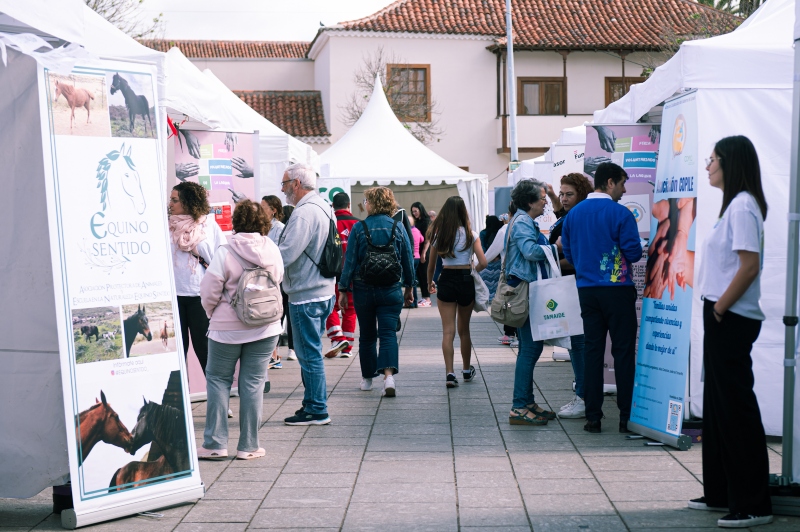 Más de 50 asociaciones de La laguna  participan el próximo sábado en la VIII Feria del Voluntariado en la plaza de la Catedral