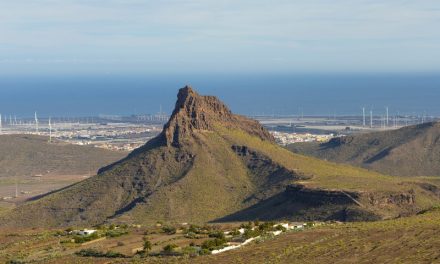 La mayor superficie agrícola ofertada en el banco de tierras de Gran Canaria se encuentra en Agüimes