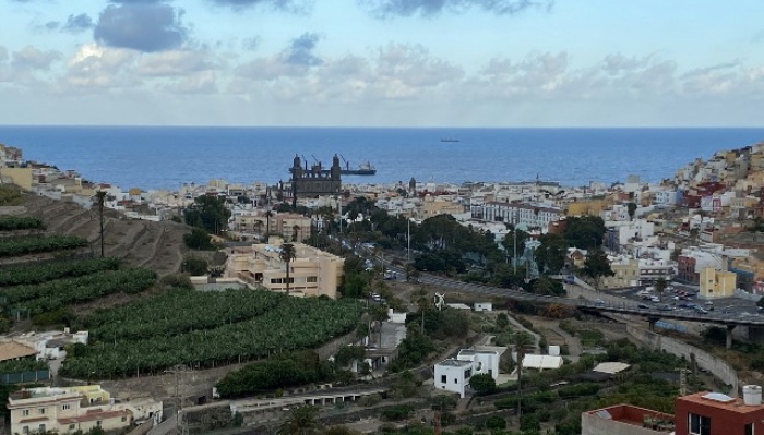 Turcón considera que el concurso sobre el Paseo del Guiniguada impone alternativas y limita la participación pública a una simple simulación