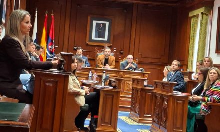 Telde celebra por primera vez en este mandato un Pleno ordinario con el grupo de gobierno en minoría