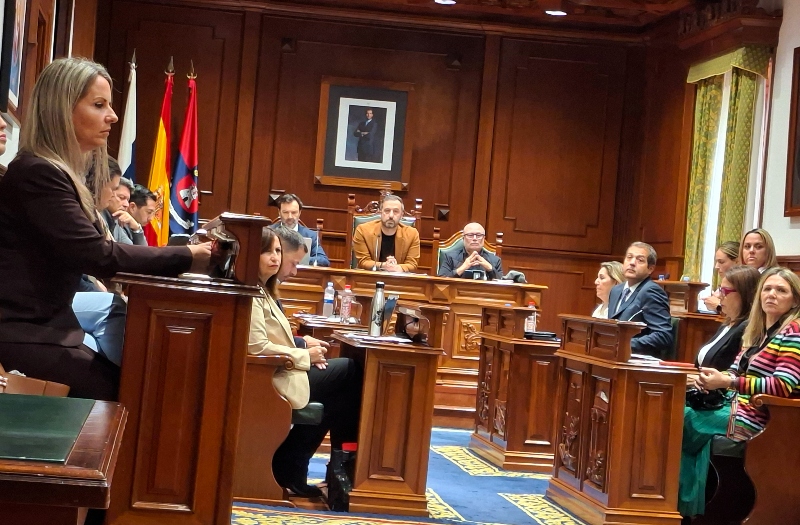 Telde celebra por primera vez en este mandato un Pleno ordinario con el grupo de gobierno en minoría