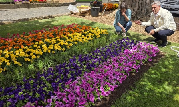 La Laguna vuelve a vestir con los colores del Orgullo los jardines de la plaza de la Concepción