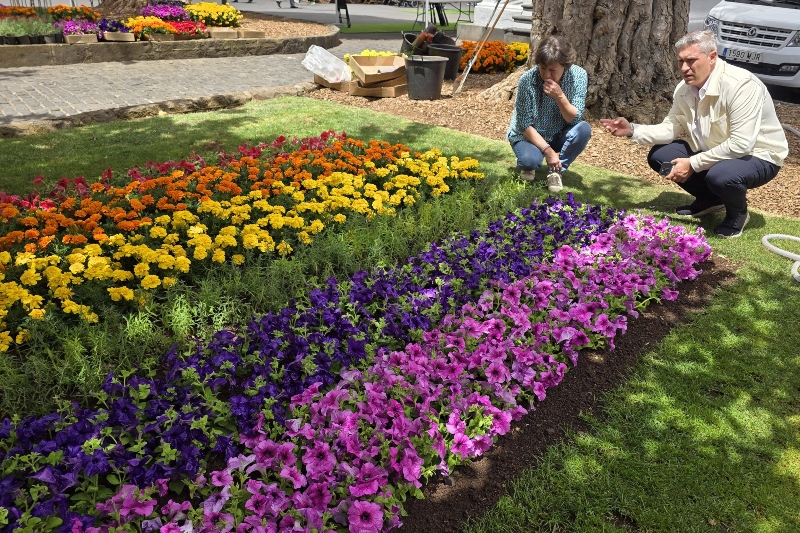 La Laguna vuelve a vestir con los colores del Orgullo los jardines de la plaza de la Concepción