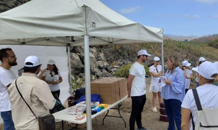 Telde celebra el Día Mundial de los Océanos con una jornada de limpieza en Bocabarranco