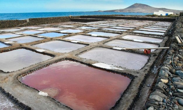 El Ayuntamiento de Agüimes organiza una visita guiada a las Salinas de Bocacangrejo. 
