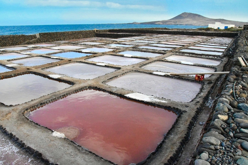 El Ayuntamiento de Agüimes organiza una visita guiada a las Salinas de Bocacangrejo. 