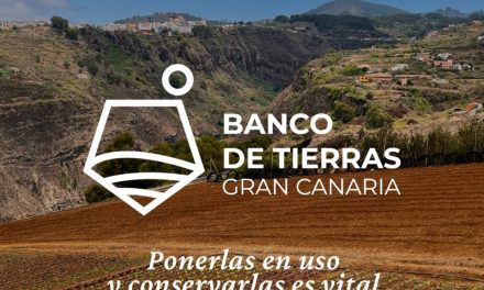 Charla sobre el Banco de Tierras de Gran Canaria este miércoles en la Villa de Ingenio