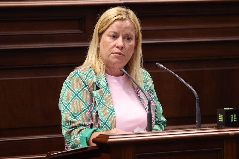 El PP advierte que la criminalidad de los delitos graves en Canarias se ha disparado
