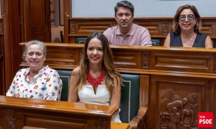La concejala socialista de Telde, Inés Pulido se estrena como portavoz