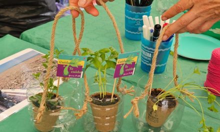 El Ayuntamiento de Las Palmas lanza un taller de plantas aromáticas y medicinales en El Pambaso