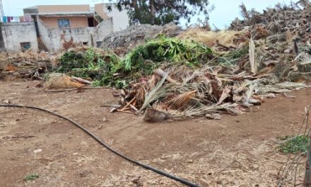 CC La Victoria exige al Gobierno local del PSOE una actuación urgente en el Parque El Pinar ante su lamentable estado de abandono