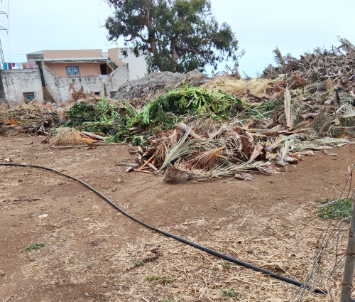 CC La Victoria exige al Gobierno local del PSOE una actuación urgente en el Parque El Pinar ante su lamentable estado de abandono