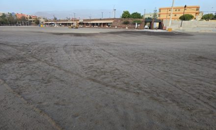 Nueva Canarias Telde se congratula de la limpieza en la arena de la Playa de Melenara