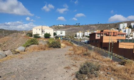 El Ayuntamiento de Las Palmas  licita la creación de una senda peatonal verde con un mirador y espacios biosaludables entre El Lasso y Pedro Hidalgo