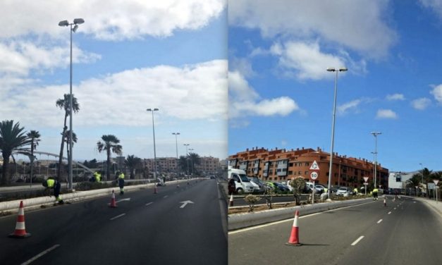 Parques y Jardines de Telde ejecuta labores de mantenimiento en la Avenida alcalde Alejandro Castro