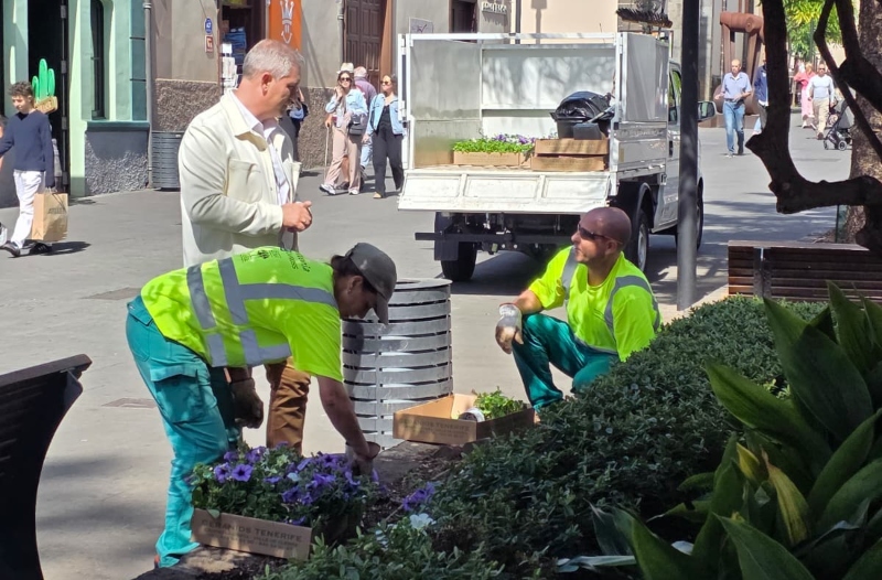 La Laguna embellece sus plazas con la plantación de 2.800 flores de temporada