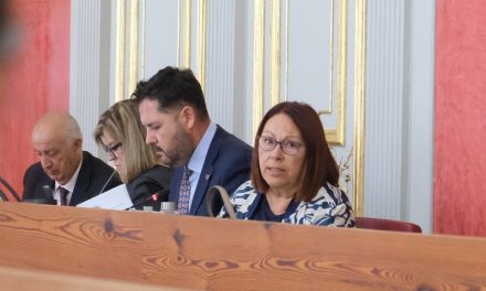 El Pleno de Las Palmas da luz verde al convenio de colaboración con el Cabildo de Gran Canaria para la concesión de ayudas de emergencia social