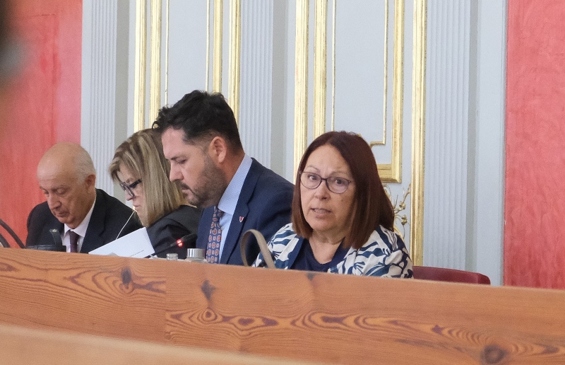 El Pleno de Las Palmas da luz verde al convenio de colaboración con el Cabildo de Gran Canaria para la concesión de ayudas de emergencia social