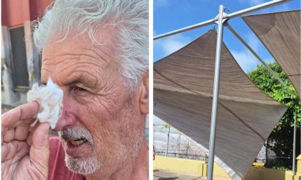 Cae parte  una pérgola colocada por Fomentas en el campo de petanca de San Jose de Las Longueras y hiere a uno de lo usuarios