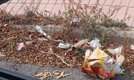 Vecinos de la calle Alcaravanal de San Antonio denuncian el abandono y la suciedad en su calle
