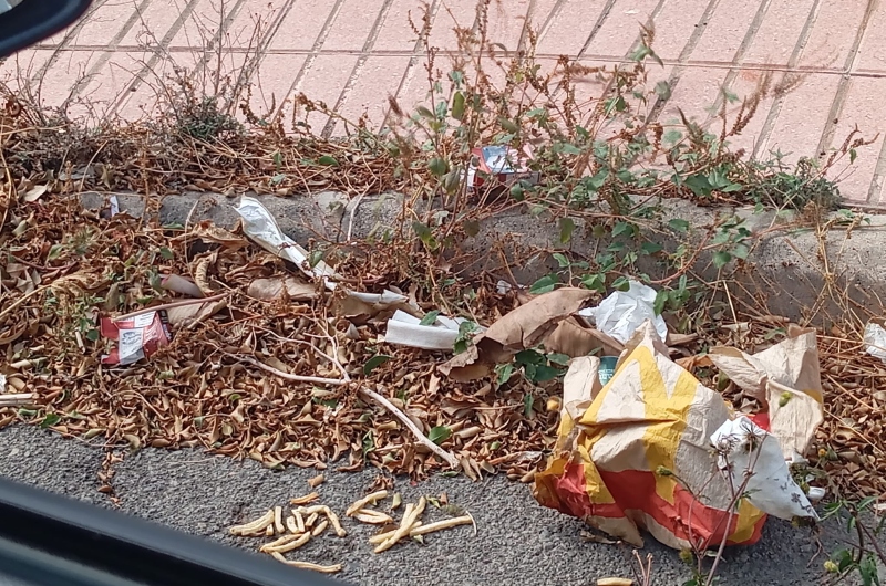 Vecinos de la calle Alcaravanal de San Antonio denuncian el abandono y la suciedad en su calle