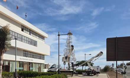 La Concejalía de Alumbrado de Telde monta un árbol de Navidad de 12 metros en las oficinas municipales