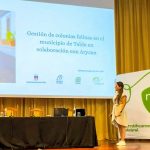 Telde entre los municipios de Canarias que supera el millar de gatos identificados y esterilizados