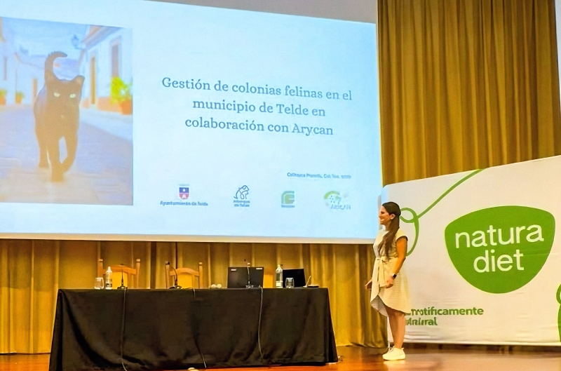Telde entre los municipios de Canarias que supera el millar de gatos identificados y esterilizados