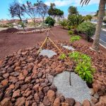 La concejalía de Parques y Jardines de Telde inicia la recuperación de las zonas ajardinadas de la Avenida del Cabildo