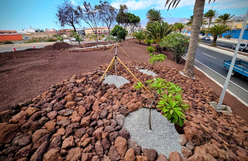 La concejalía de Parques y Jardines de Telde inicia la recuperación de las zonas ajardinadas de la Avenida del Cabildo