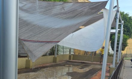 La cancha de petanca y bola canaria”Palmito retoño” de San José de Las Longueras en un estado lamentable