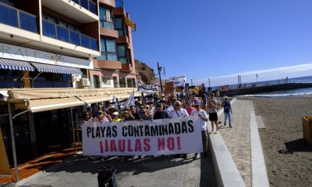 Nueva Canarias  Telde presenta una moción en defensa del litoral y la salud pública