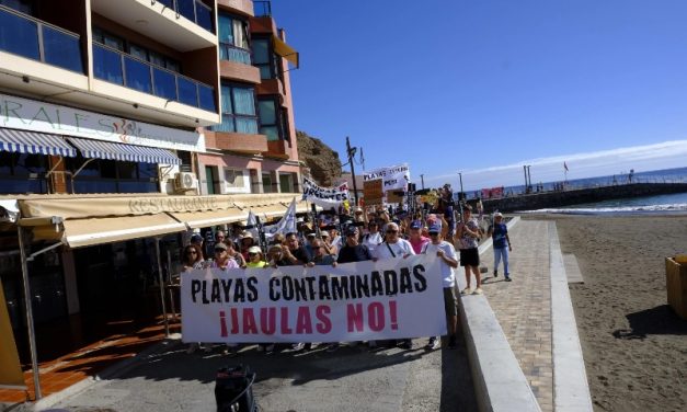 Nueva Canarias  Telde presenta una moción en defensa del litoral y la salud pública