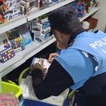 La Policía Local  de La laguna activa una campaña de inspección de establecimientos para garantizar que los juguetes a la venta cumplen las normas de seguridad