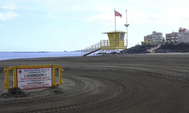 Drago Gran Canaria denuncia los vertidos y la mala gestión del Cabildo en el sureste insular