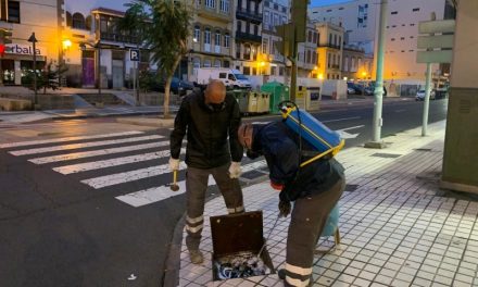 El Ayuntamiento de Las Palmas  realiza más de 400 intervenciones de control de desratización y desinsectación en noviembre