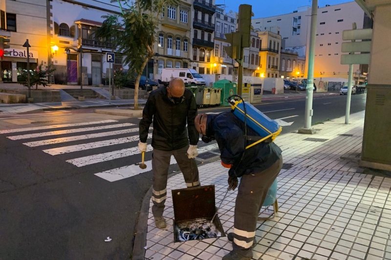 El Ayuntamiento de Las Palmas  realiza más de 400 intervenciones de control de desratización y desinsectación en noviembre