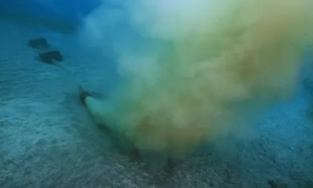 Urgente informe sobre el estado del emisario submarino 222