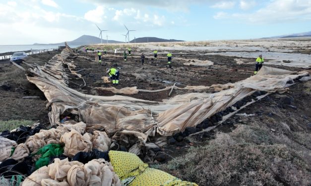 La Mancomunidad del Sureste presenta en El Burrero los avances del plan de limpieza de invernaderos abandonados y mejora ambiental de la comarca