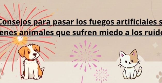 La Concejalía de Protección Animal de Telde ofrece consejos para que las mascotas no sufran con los fuegos artificiales y la pirotecnia