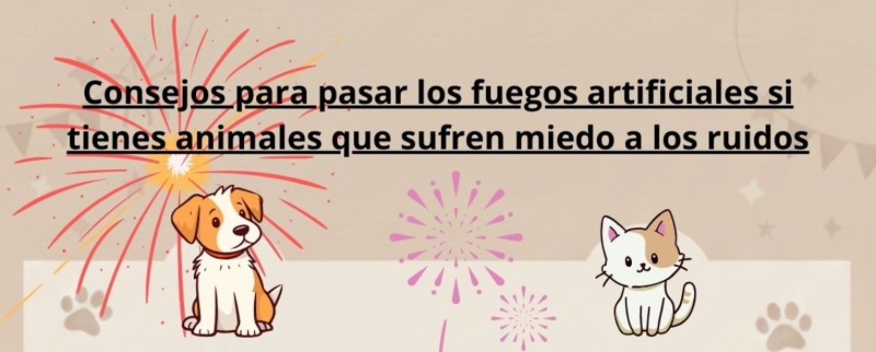 La Concejalía de Protección Animal de Telde ofrece consejos para que las mascotas no sufran con los fuegos artificiales y la pirotecnia