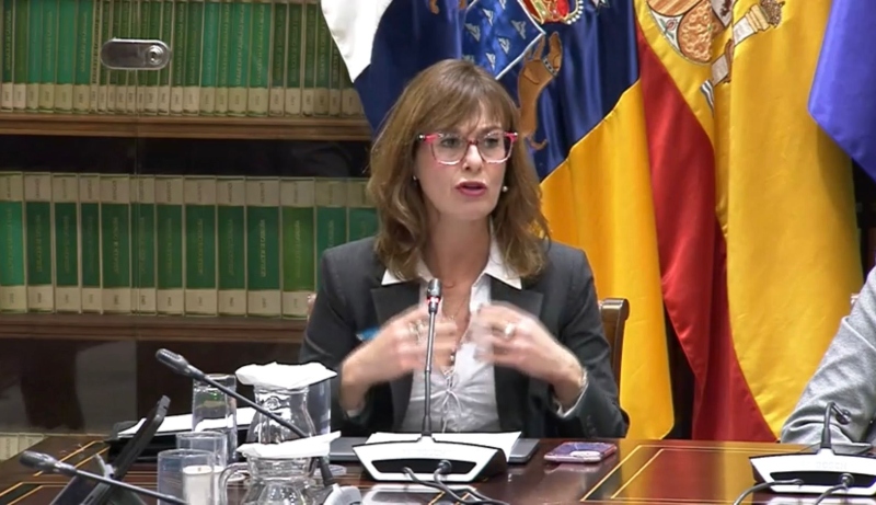 El Colegio de Enfermería defiende en el Parlamento la implantación de la Salud Escolar en toda Canarias